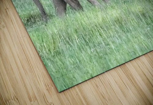 Baby Elephants Hugging  Kara Capaldo Photography puzzle