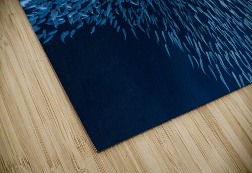 Schooling Fish Swallows Cave Tonga Kara Capaldo Photography puzzle