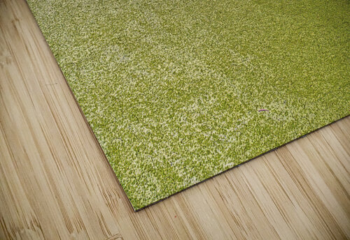 background of green algae on river  Vivida Photo PC puzzle