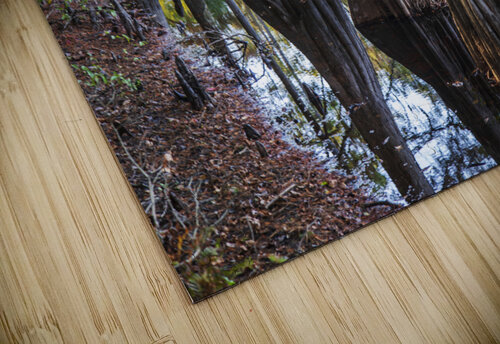 2022 Oct 20 MillPond02 Robert Decker puzzle