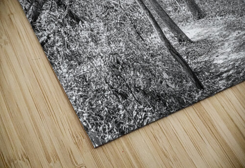 2022 Sept 27 ElliotCouesTrl04 Robert Decker puzzle