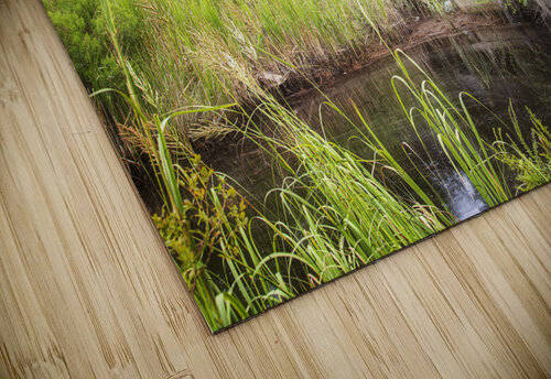 2022 Aug 19 Boathouse01 Robert Decker puzzle