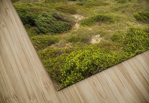 2022 Aug 24 Overlook01 Robert Decker puzzle