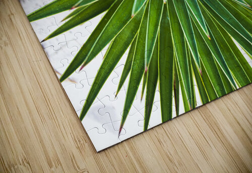 2022 Aug 30 Yucca01 Robert Decker puzzle
