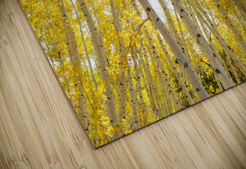 Golden Sunshine Autumn Day Bo Insogna puzzle