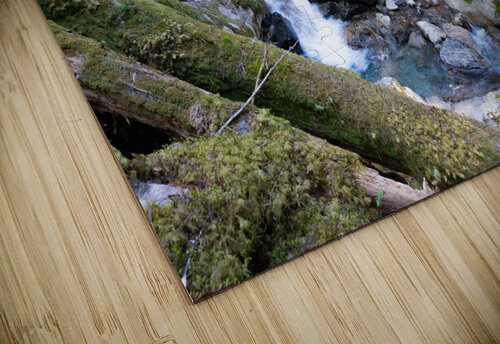 Breathing Forest - North Cascades National Park Joseph DeGiovanni puzzle
