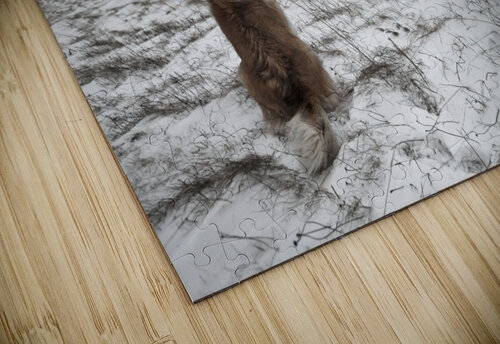 Snowstorm 1x puzzle