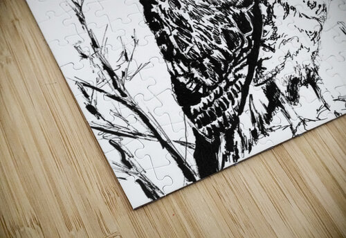 Hawk H20colorartist puzzle