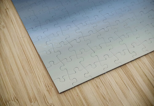 Blue Heron  Michelle Rae puzzle