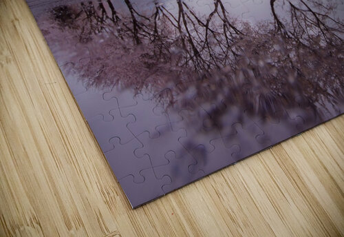 Rain of spring 1x puzzle