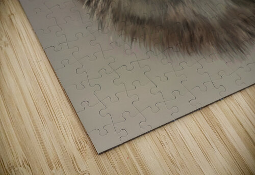 Luna ‘s Legacy  Michelle Rae puzzle