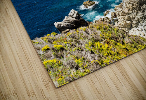 California Coastline caladoart puzzle