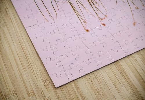 Reflection of Serenity 1x puzzle
