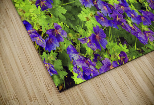 Purple flowers in greenery fotojourneys puzzle