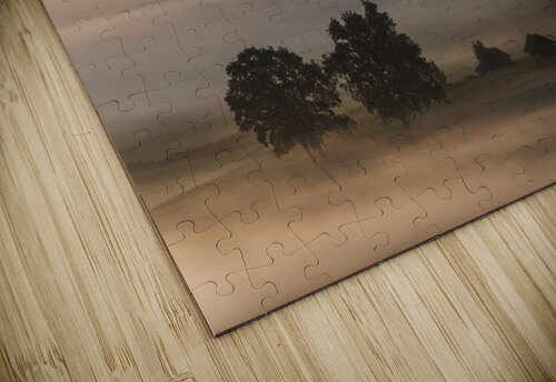 Dense fog over the moos... 1x puzzle