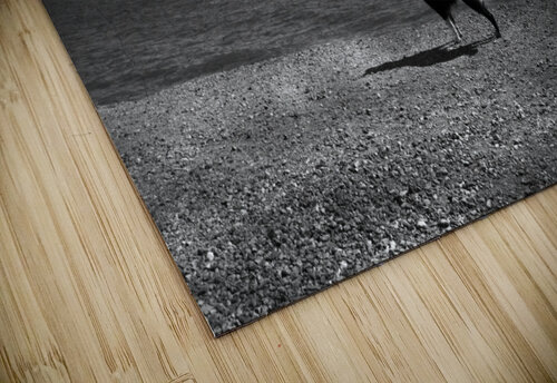 Waiting  fotojourneys puzzle