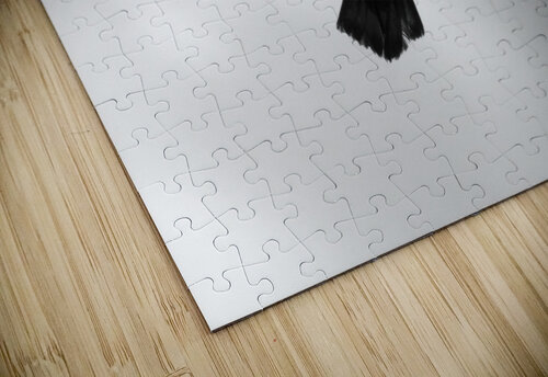 The sea eagle fotojourneys puzzle