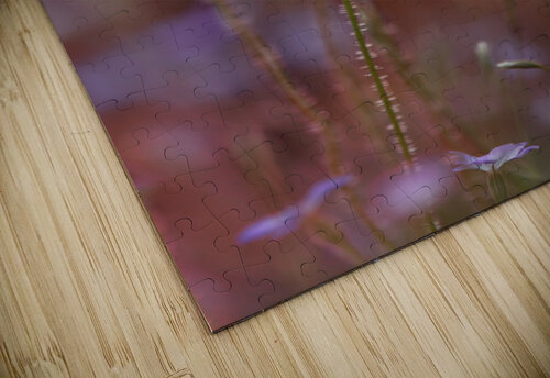 At the end of the day. 1x puzzle