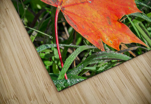 Red Maple Leaf caladoart puzzle