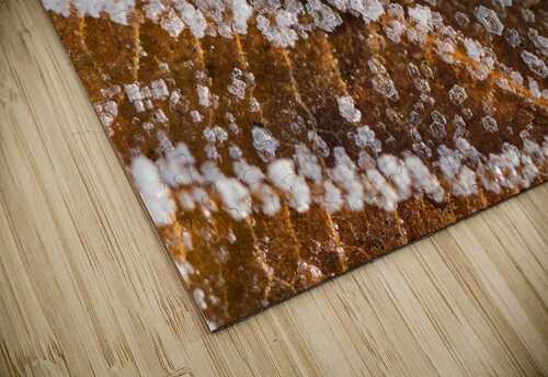 Winter Leaf caladoart puzzle