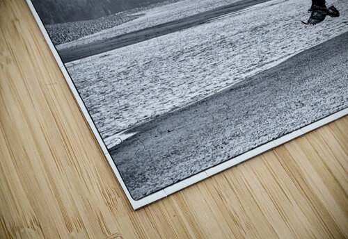 Kachemak Bay Eagle Dave Veith puzzle