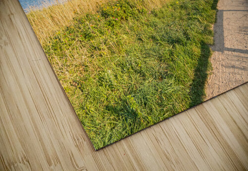 Footpath at the Baltic Sea caladoart puzzle