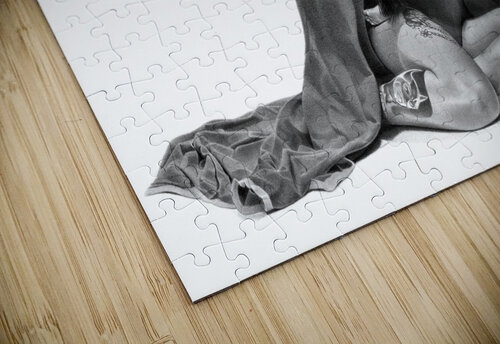 IN ARMS Miro Gradinscak puzzle