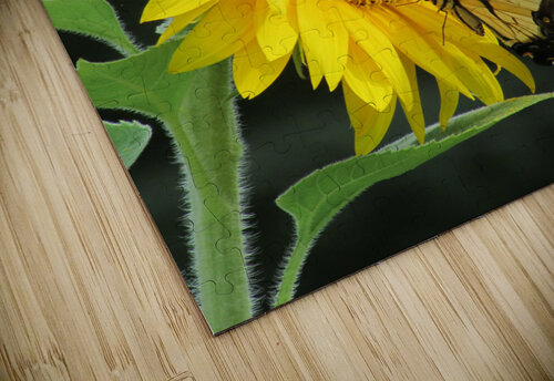 Pollen Miner H20colorartist puzzle