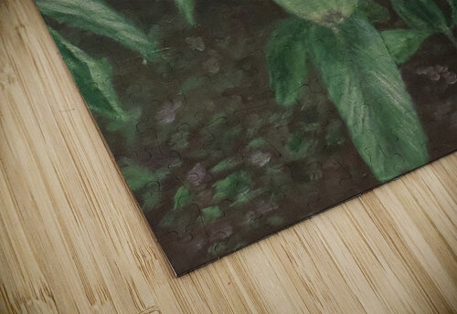 Apples Jodi DiLiberto  puzzle