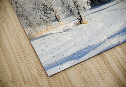 hoar frost on trees matt nelson puzzle