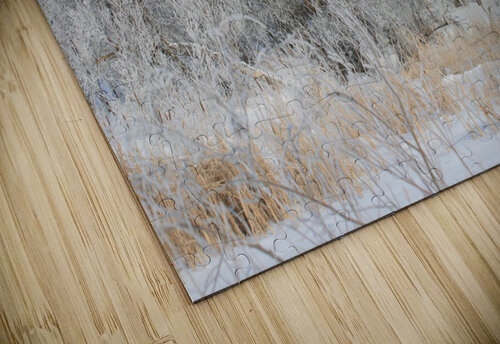 hoar frost  matt nelson puzzle