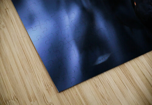 waterfall   leaves  matt nelson puzzle