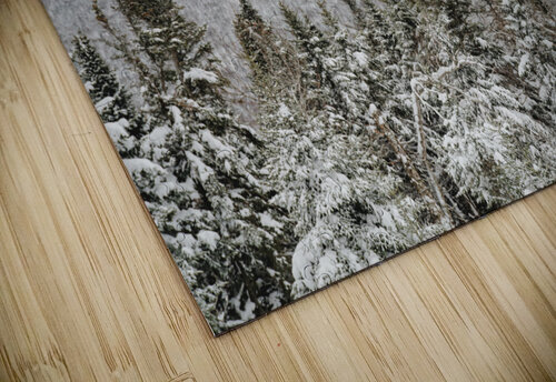 Massif du Sud StephanieAllard puzzle