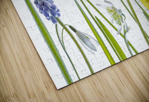 Spring 1x puzzle