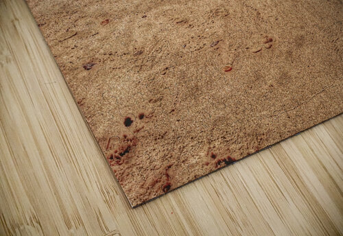 The Beach Light Through Glass puzzle