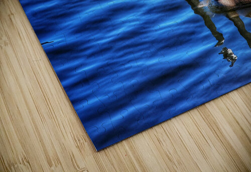 Canada  Geese  Light Through Glass puzzle