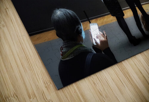 At the Museum  Light Through Glass puzzle