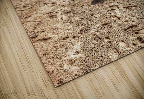 Under the Umbrella  Light Through Glass puzzle