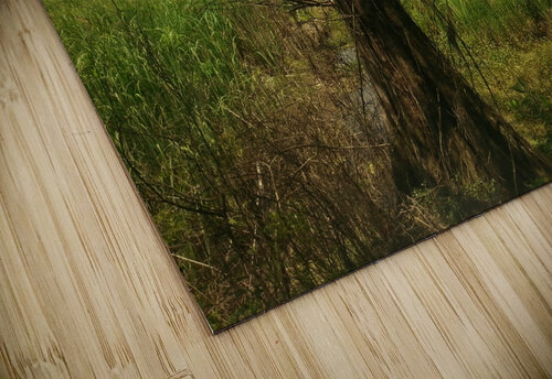 Tree in Field Light Through Glass puzzle