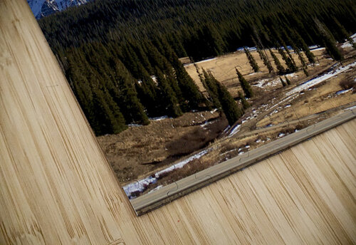 Lizard head pass Derek Udy puzzle