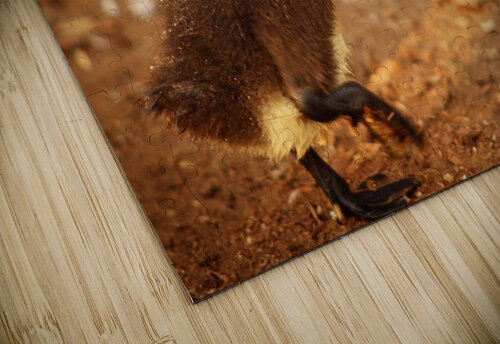 Uno the quick  Derek Udy puzzle