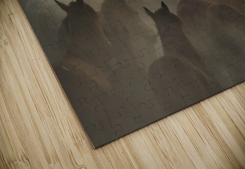 in dust 1x puzzle