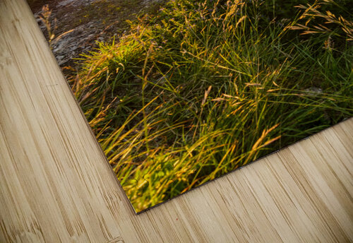 Cliff Ledge Sunset caladoart puzzle