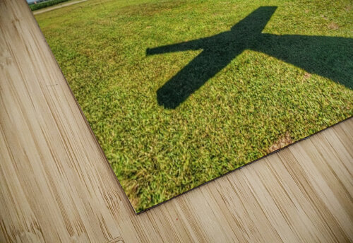 Ready to Fly Amber Kocur puzzle