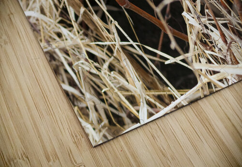 000007 Grayton Media puzzle