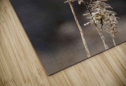 000013 Grayton Media puzzle