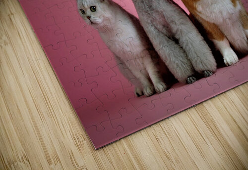 3432 mohamed elabari puzzle