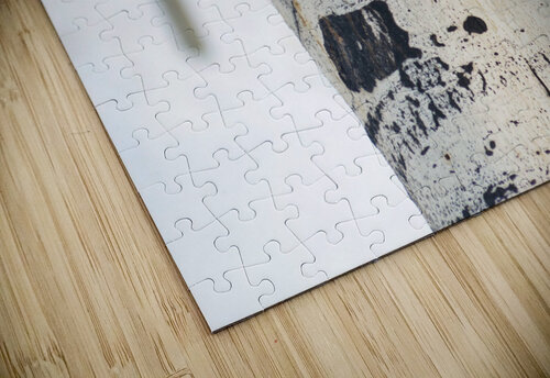 Eye of the tree earthdawg puzzle