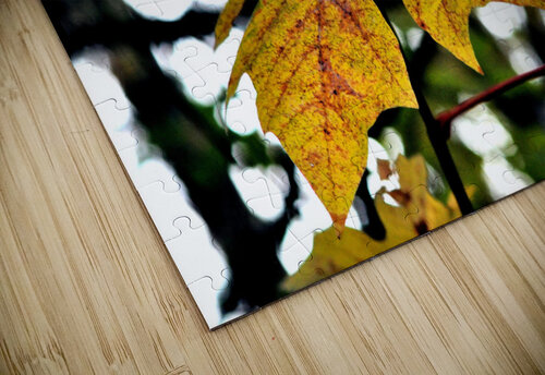 Fall earthdawg puzzle