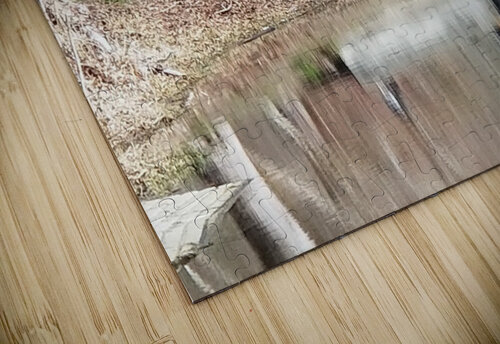 Lake Reflection earthdawg puzzle